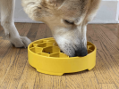 Honeycomb Design eBowl Enrichment Slow Feeder Bowl for Dogs