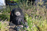 Pet and Pets Simplicity Pet Stroller