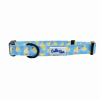 Cutie Ties Fun Design Dog Collar