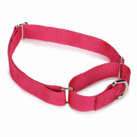 GG Nylon Martingale Collar (Color: pink, size: 10-16in)