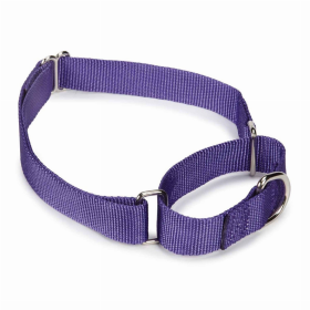 GG Nylon Martingale Collar (Color: purple, size: 10-16in)