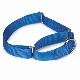 GG Nylon Martingale Collar (Color: Blue, size: 14-20in)