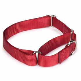 GG Nylon Martingale Collar (Color: Red, size: 10-16in)