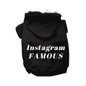 IG Famous Hoodie (Color: black, size: X Large)