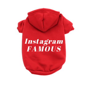 IG Famous Hoodie (Color: Red, size: 2X Large)