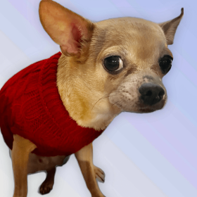 Knit Turtleneck Dog Sweater (Color: WINE RED, size: small)