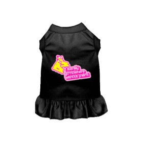 Nowhere Without My Skates- Dog Dress (size: S)