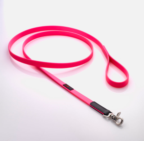 Boss Regular Leash (Color: pink, size: 3/4" x 6')