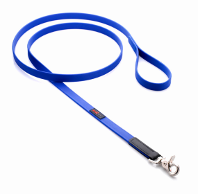 Boss Regular Leash (Color: Blue, size: 3/4" x 6')