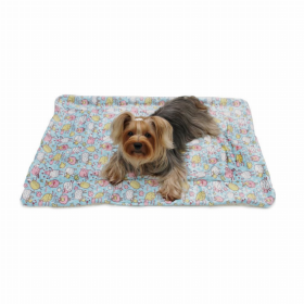 Ultra Soft Minky/Plush Blanket (Color: light blue, size: small)